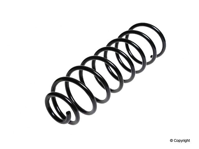 Lesjofors Coil Spring 4277812