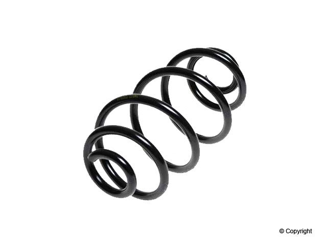 Lesjofors Coil Spring