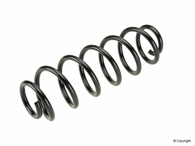 Lesjofors Coil Spring