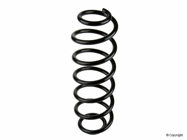 Lesjofors Coil Spring