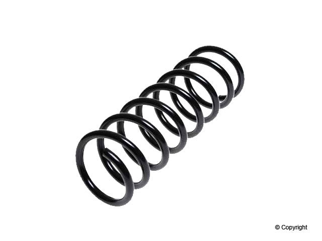 Lesjofors Coil Spring
