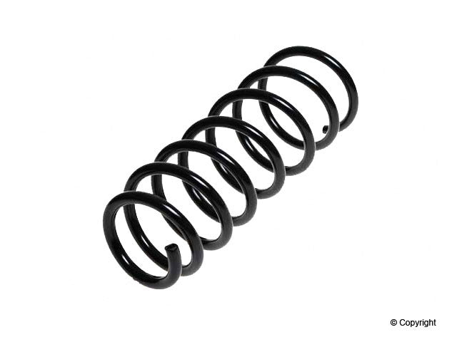 Lesjofors Coil Spring