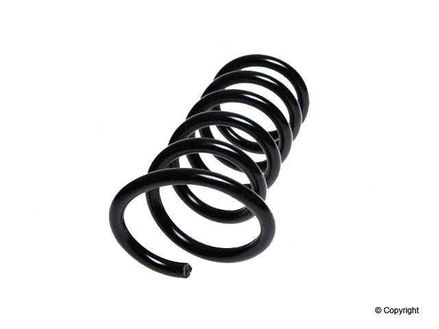 Lesjofors Coil Spring