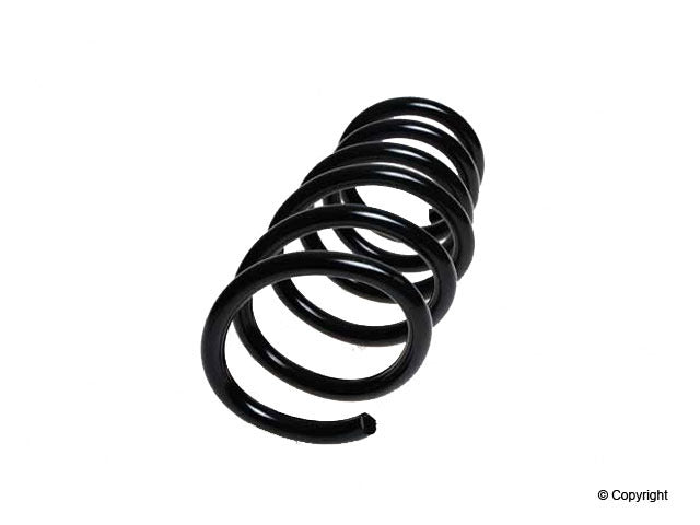 Lesjofors Coil Spring 4295851