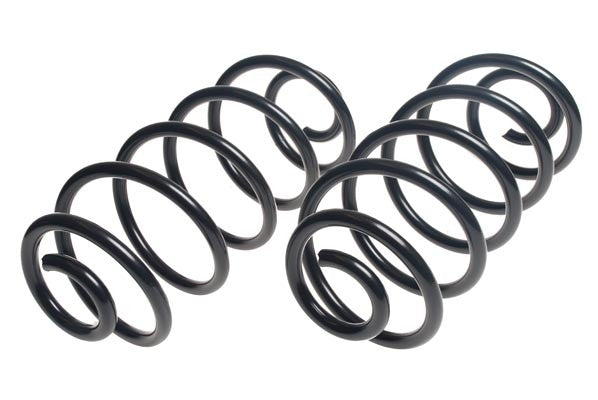 Lesjofors Coil Spring Set 4412105