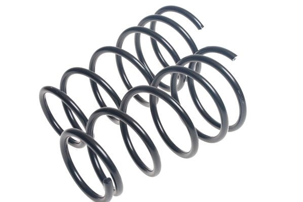 Lesjofors Coil Spring Set 4427561