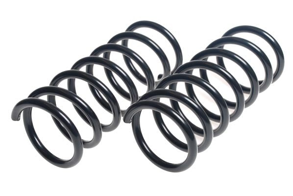 Lesjofors Coil Spring Set 4462024