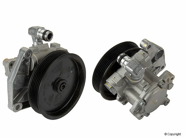 LuK Power Steering Pump