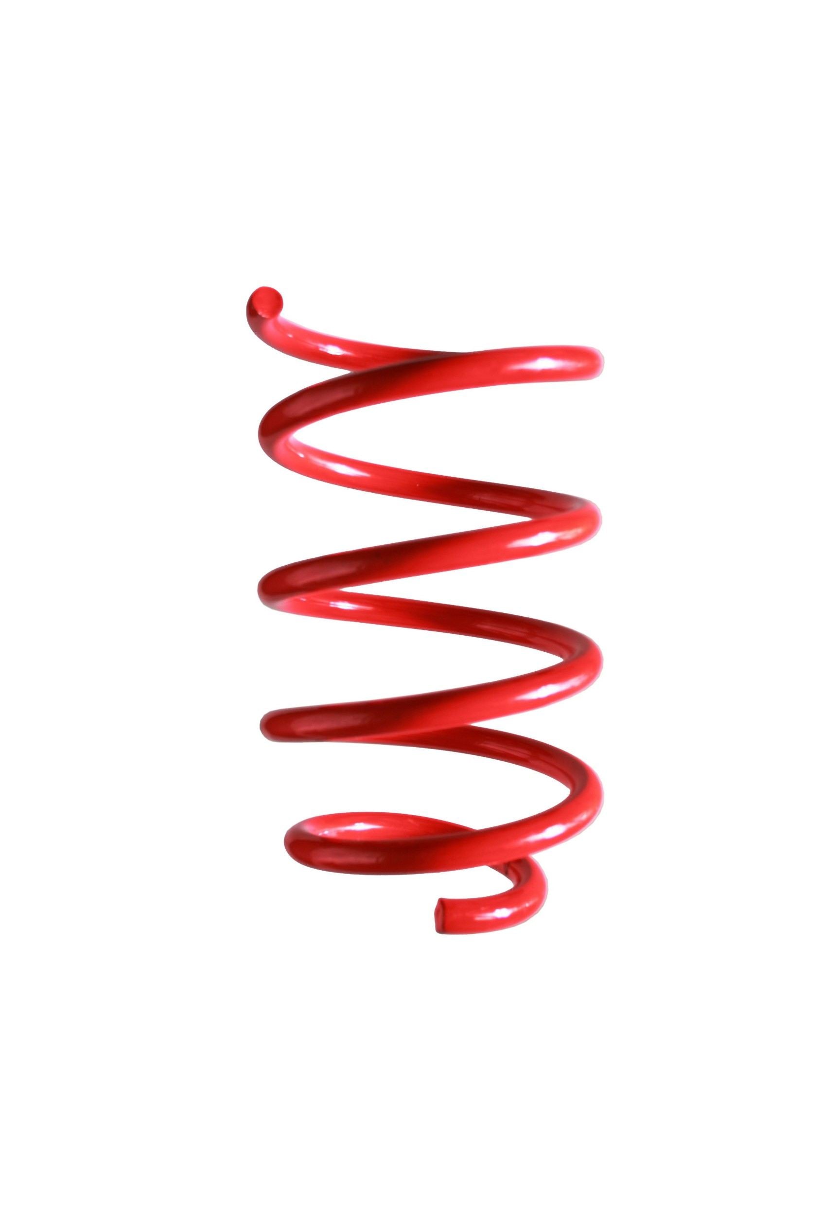 Suplex Coil Spring 06456