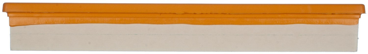 Clevite Air Filter