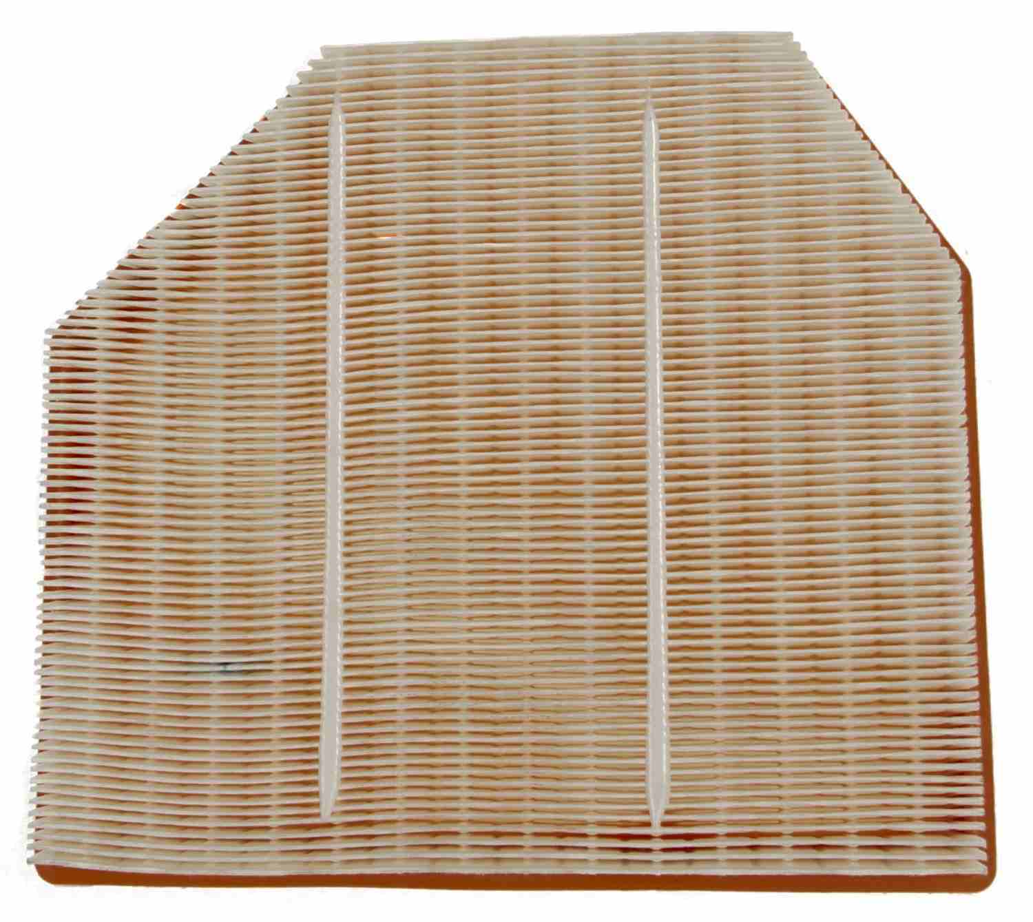 Mahle Air Filter
