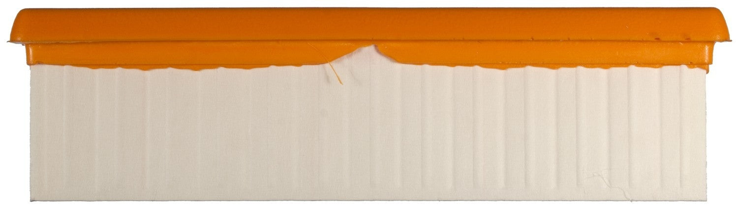 Clevite Air Filter