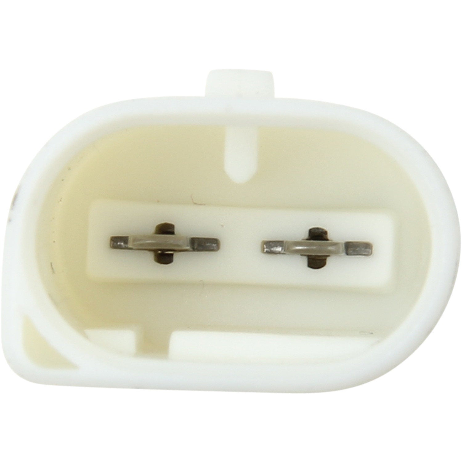 Marelli Turn Signal Light Assembly