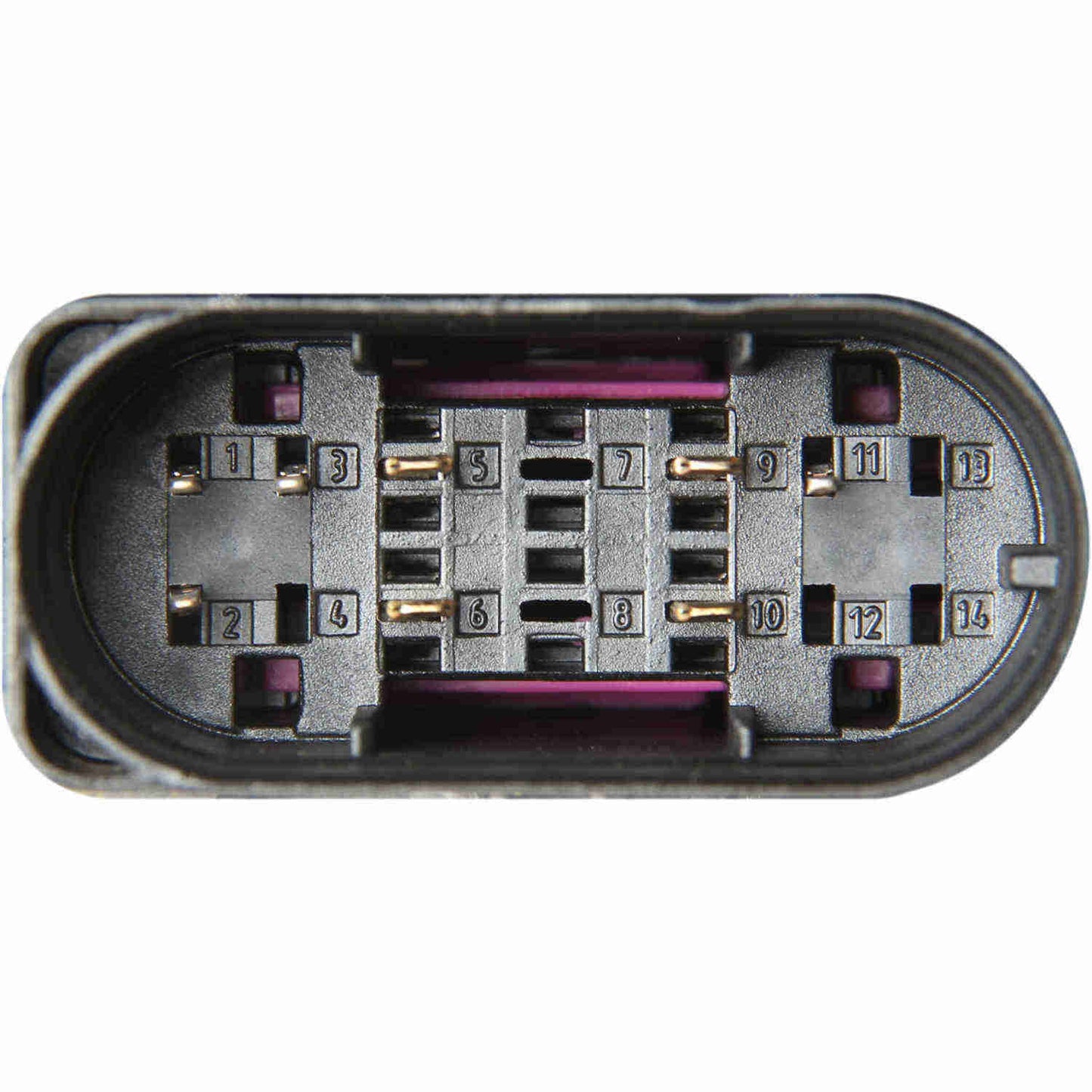 Marelli Headlight Assembly