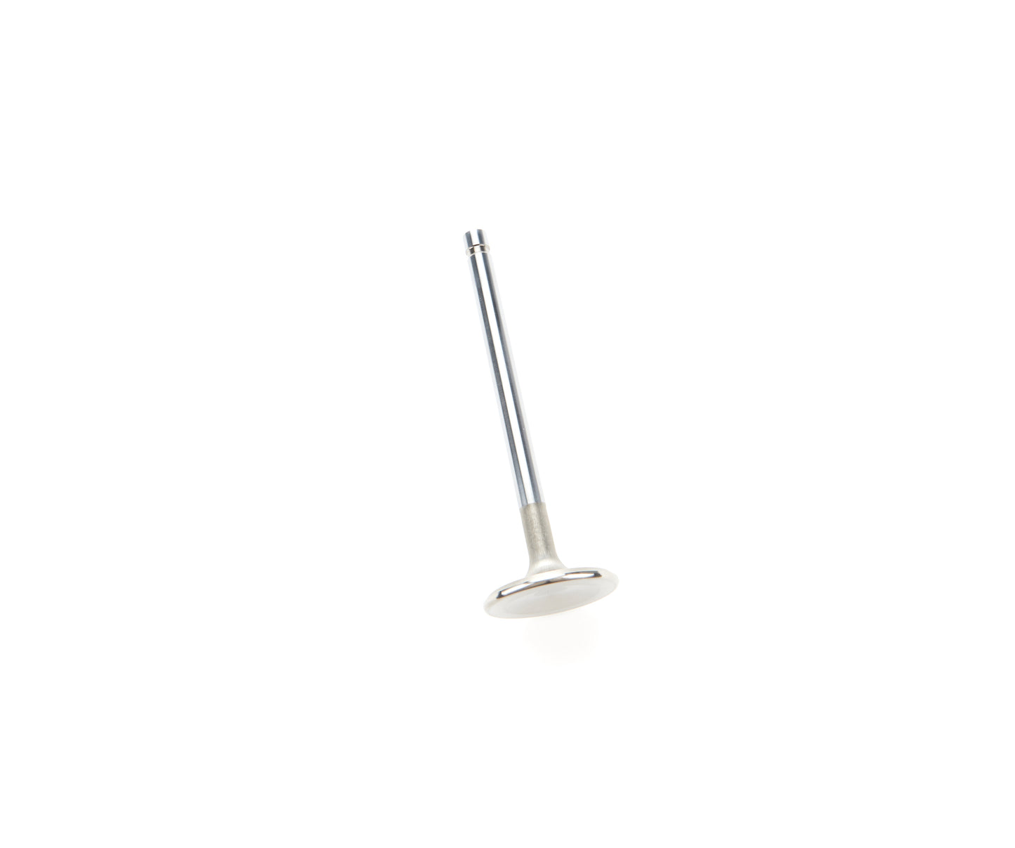 Manley Performance 1.655 SD Exhaust Valve Ford 351C 11/32 Camshafts and Valvetrain Valves main image
