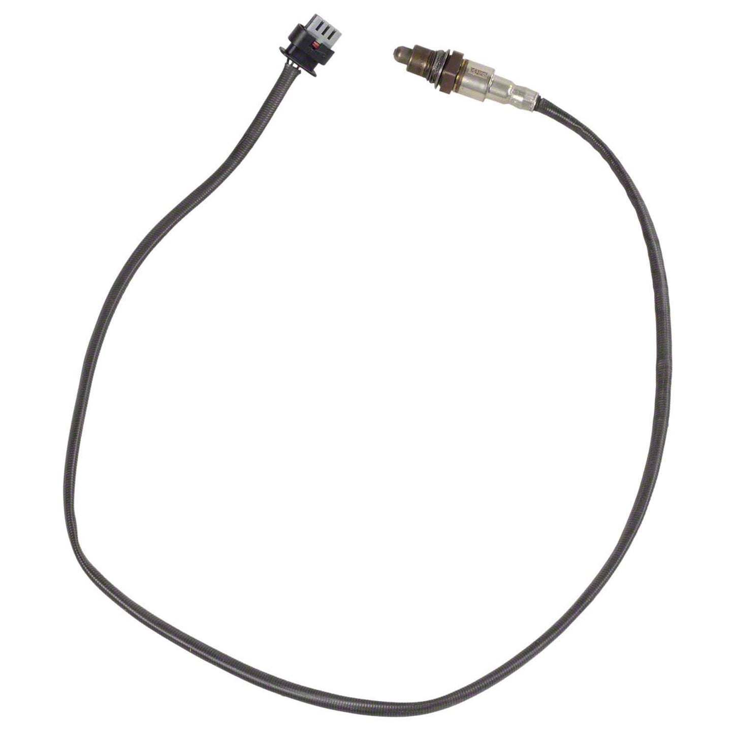 Motorcraft DY1615