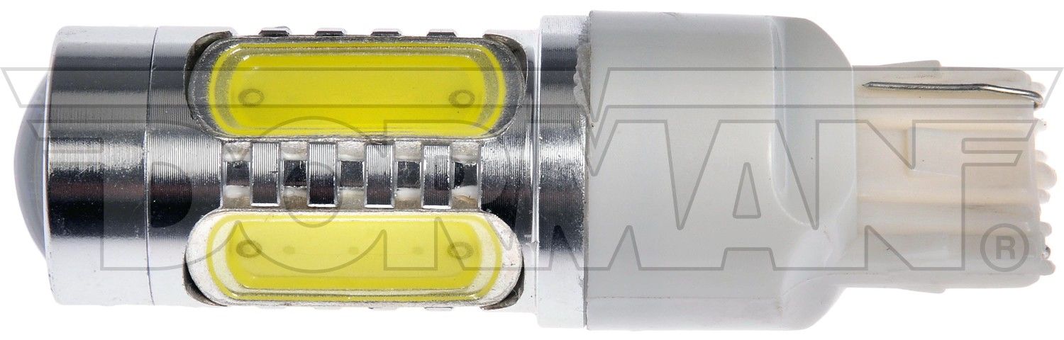 Dorman Back Up Light Bulb 7440W-HP