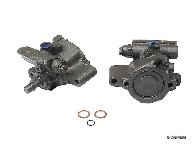 Maval Power Steering Pump