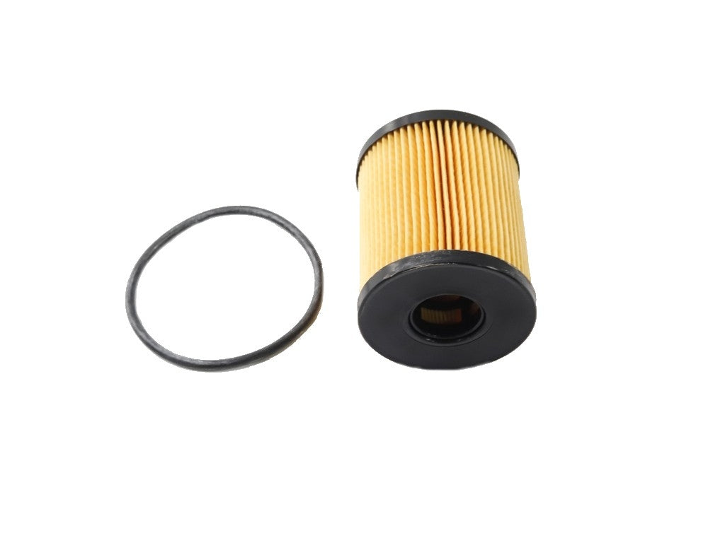 Mopar Engine Oil Filter Kit 68102241AA