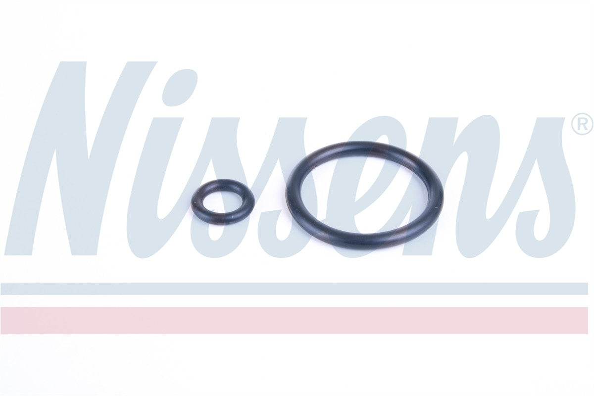 Nissens Radiator 69710