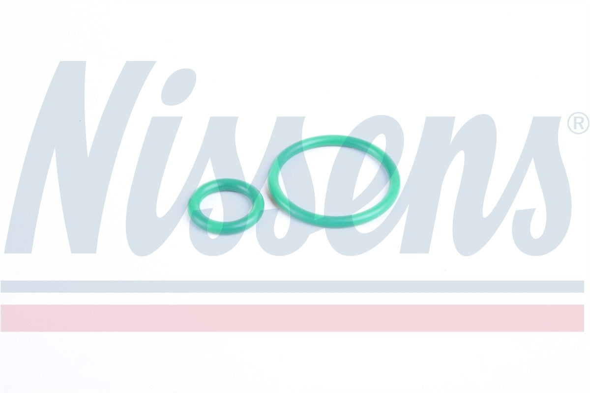 Nissens A/C Compressor 89513