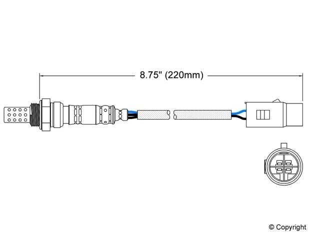 Walker Oxygen Sensor