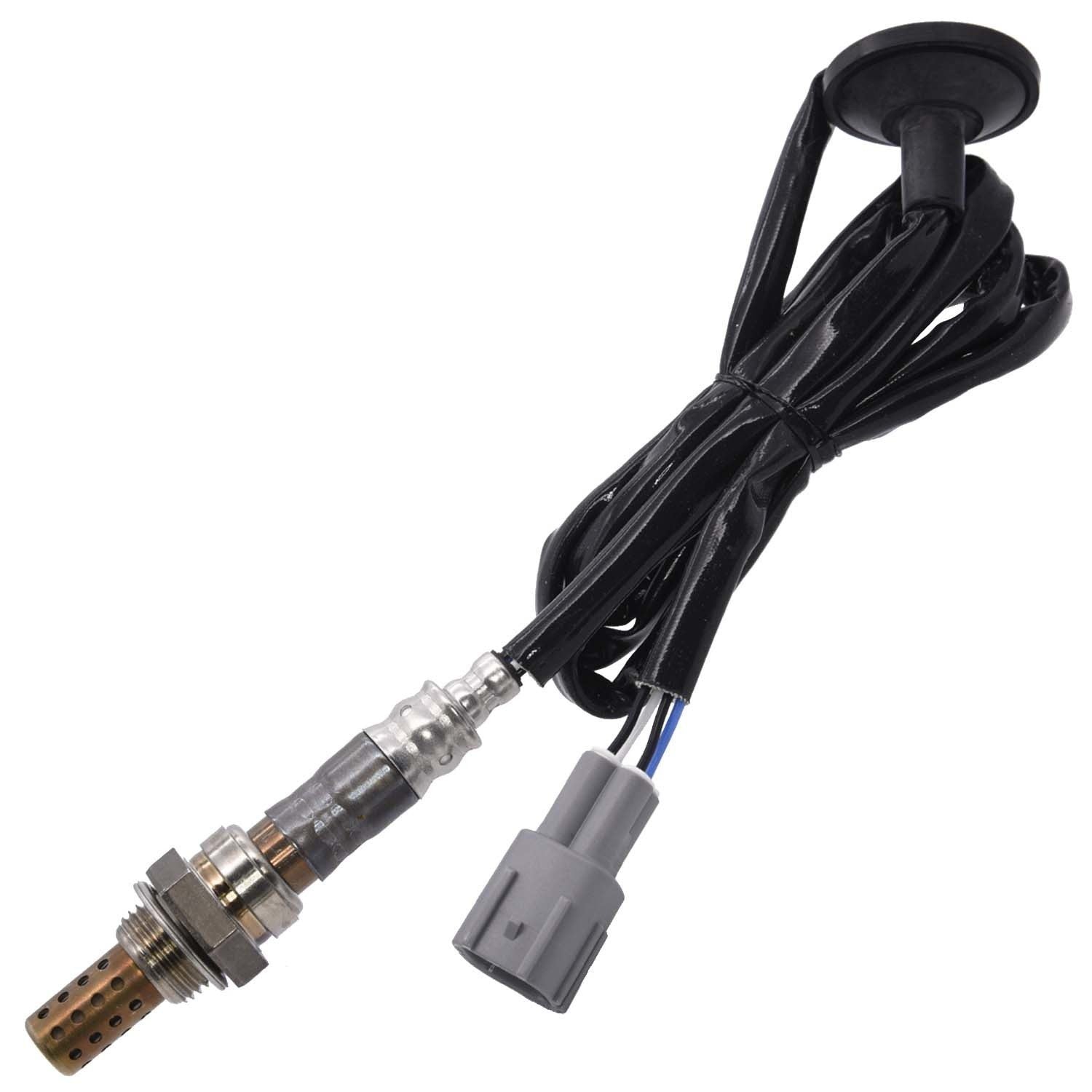 Walker Oxygen Sensor