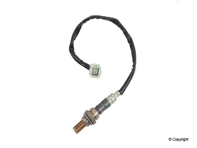 Walker Oxygen Sensor