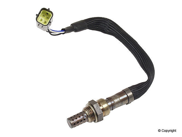 Walker Oxygen Sensor