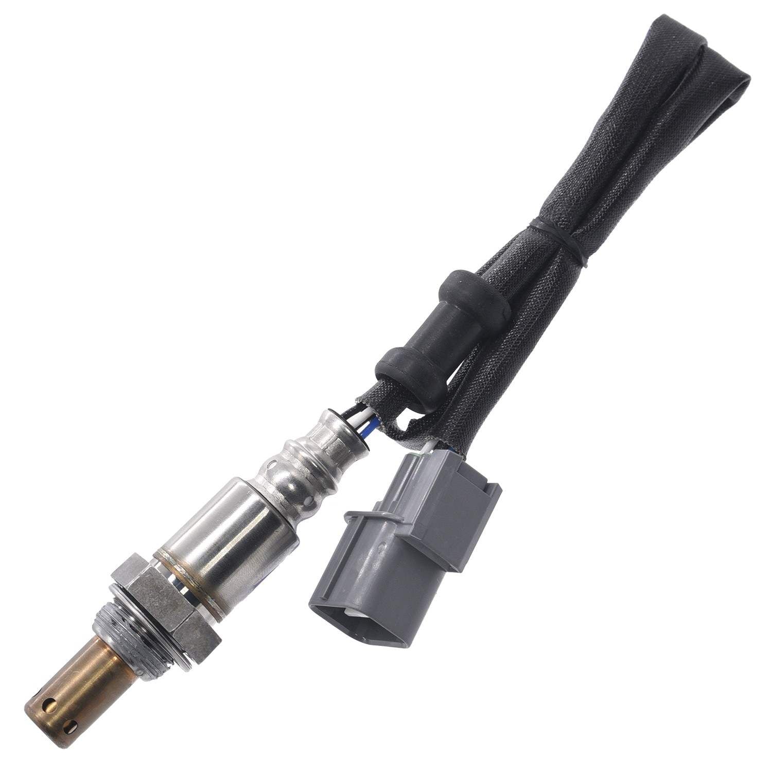 Walker Oxygen Sensor