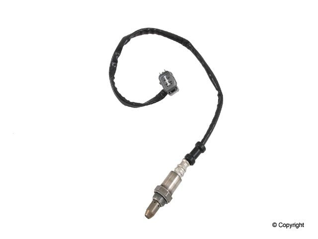 Walker Oxygen Sensor