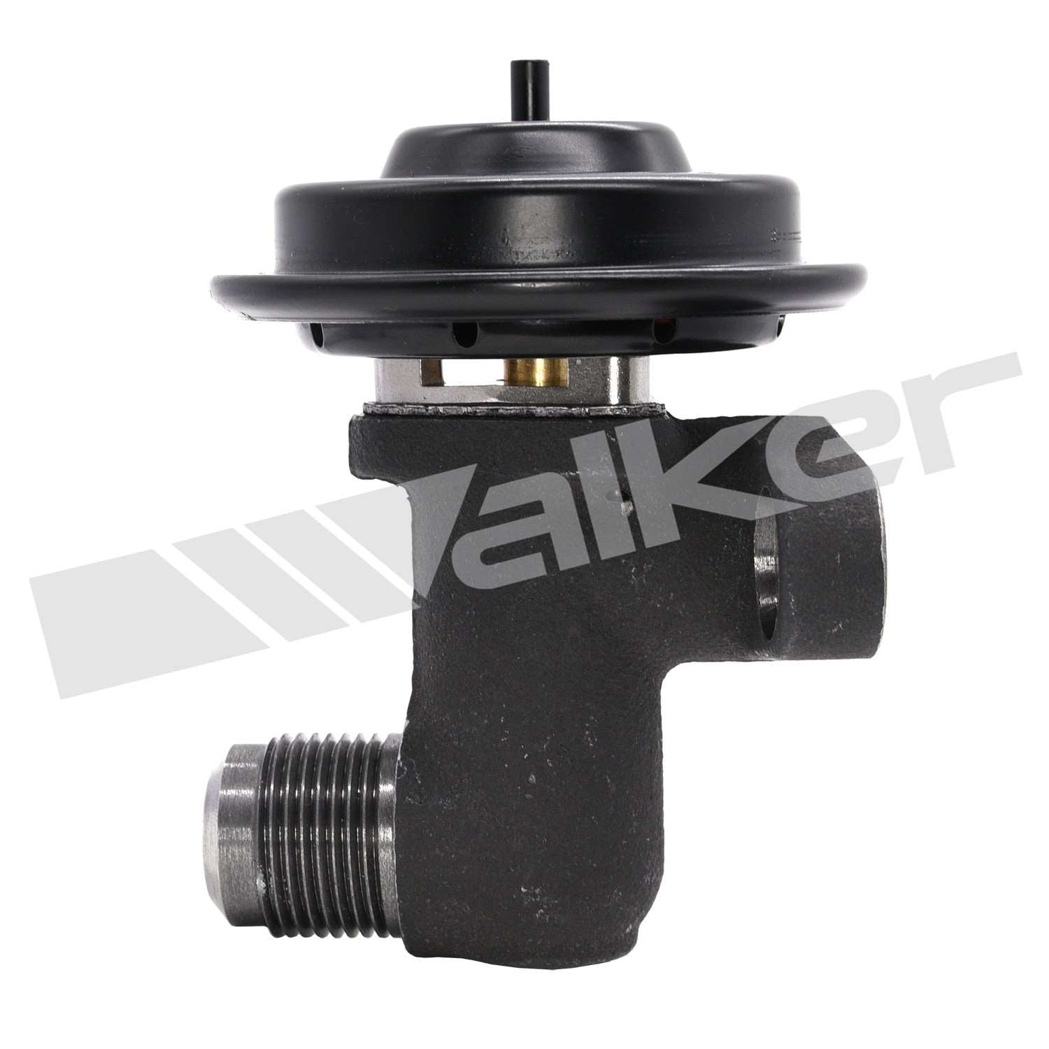 Walker Products Walker Products 570-5059 Exhaust Gas Recirculation Valve 570-5059