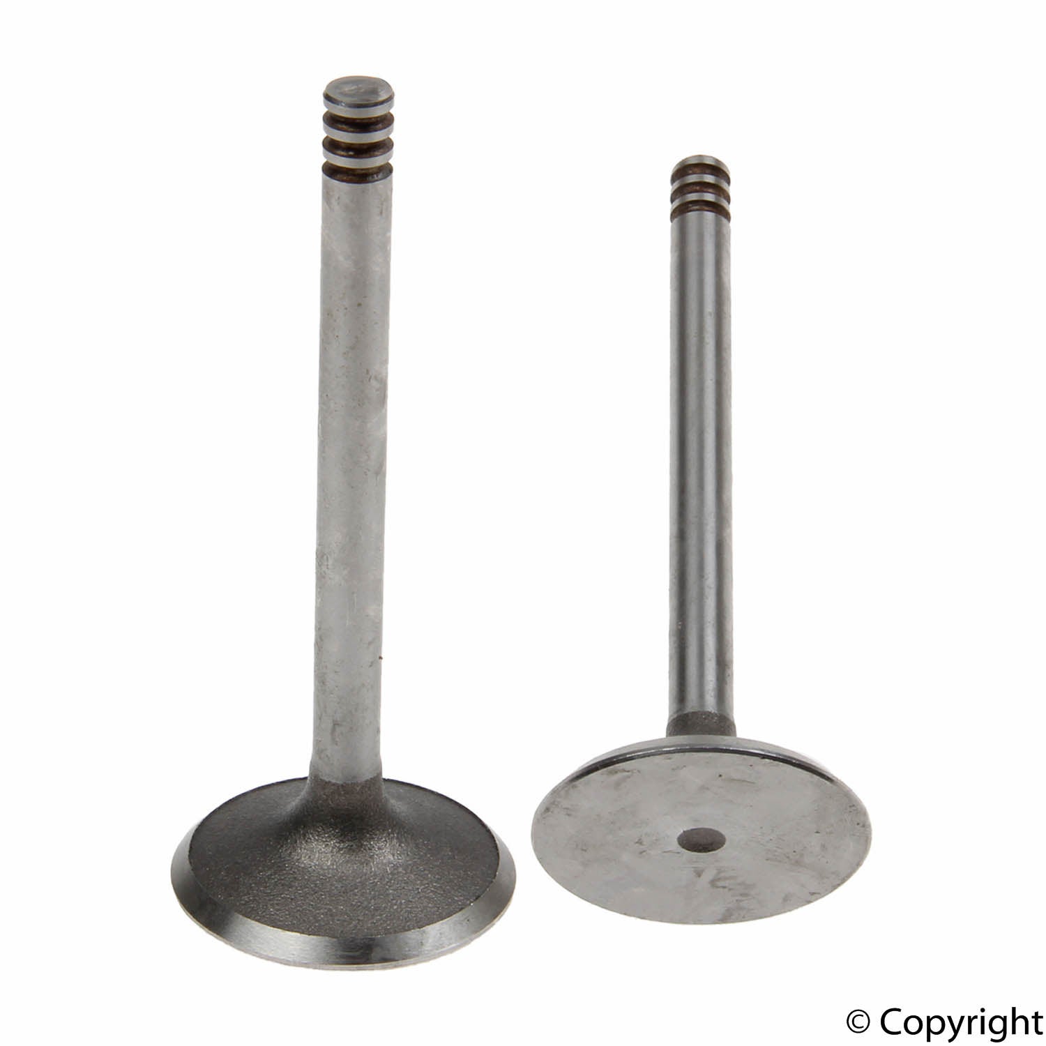 Osvat Engine Intake Valve