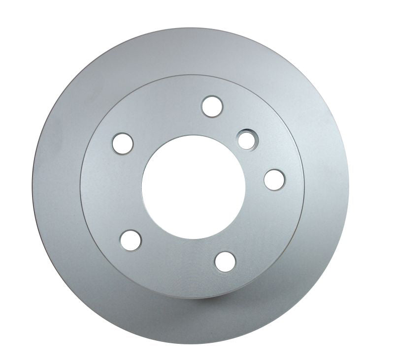 Pagid Disc Brake Rotor