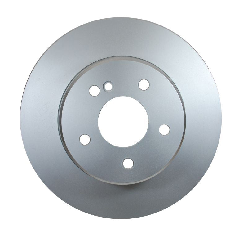 Pagid Disc Brake Rotor