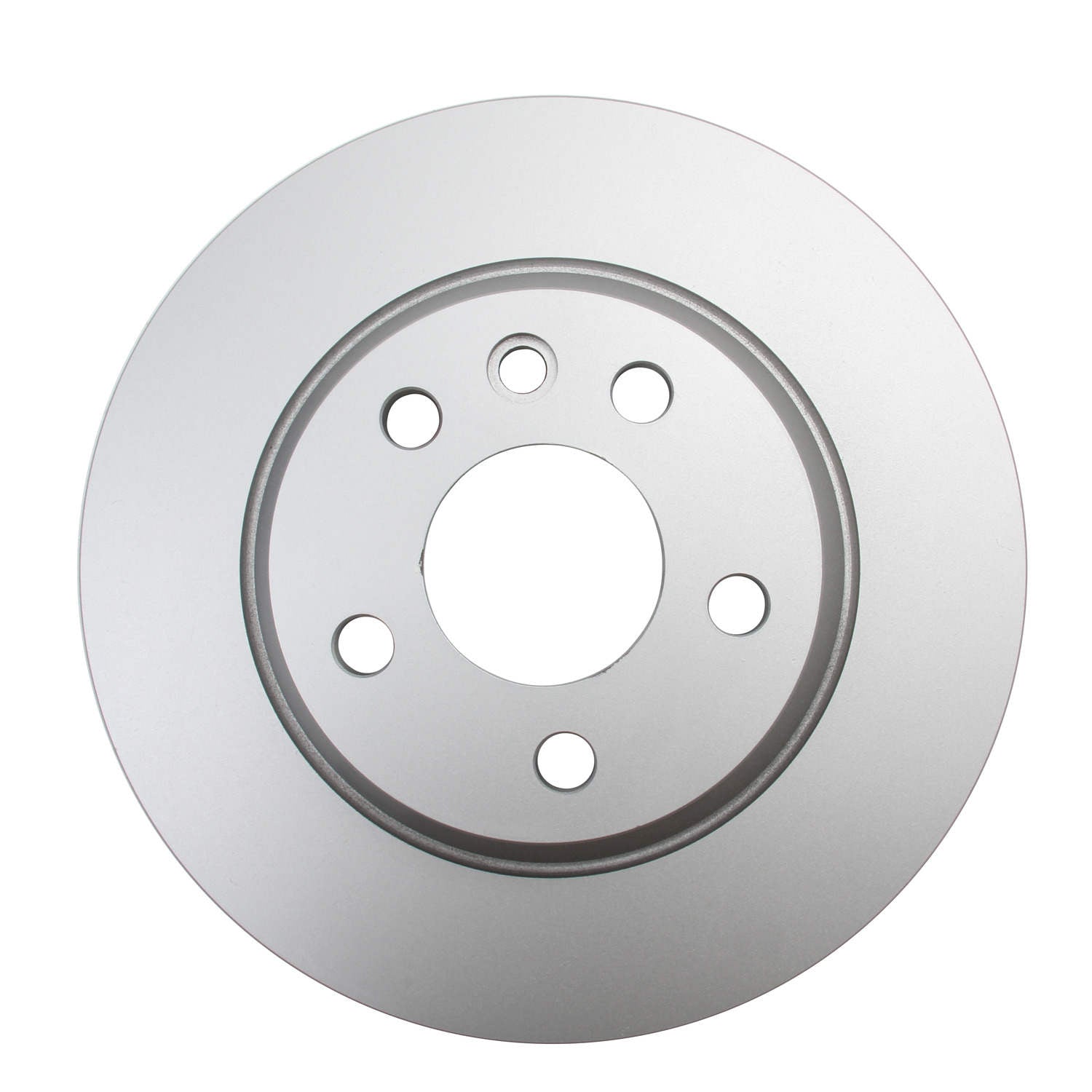 Pagid Disc Brake Rotor