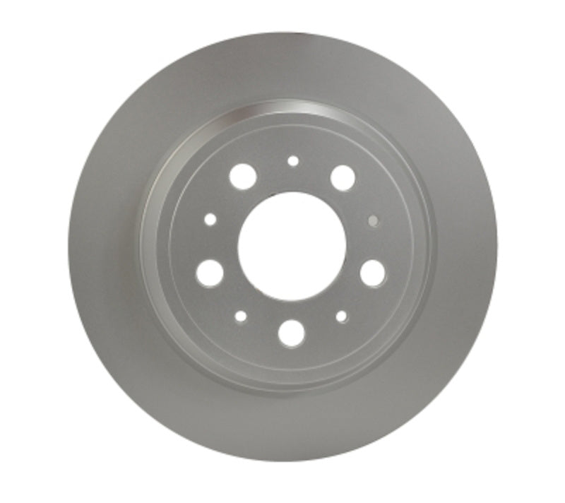 Pagid Disc Brake Rotor