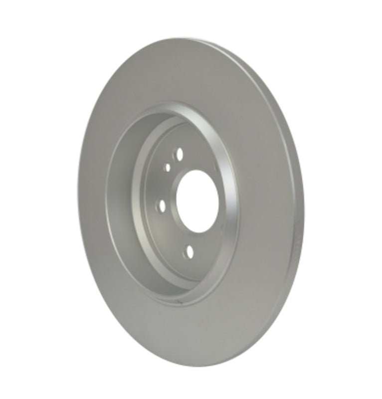 Pagid Disc Brake Rotor