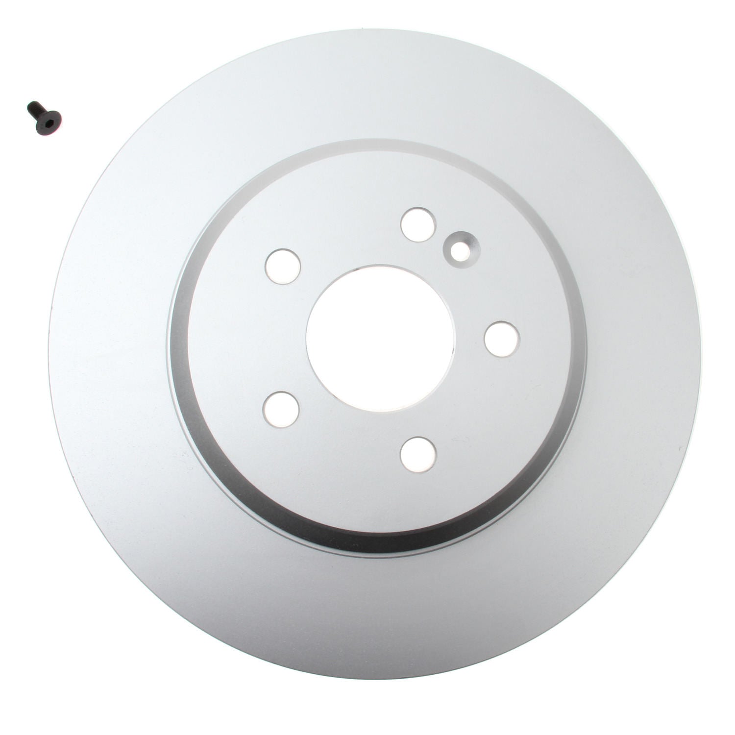 Pagid Disc Brake Rotor