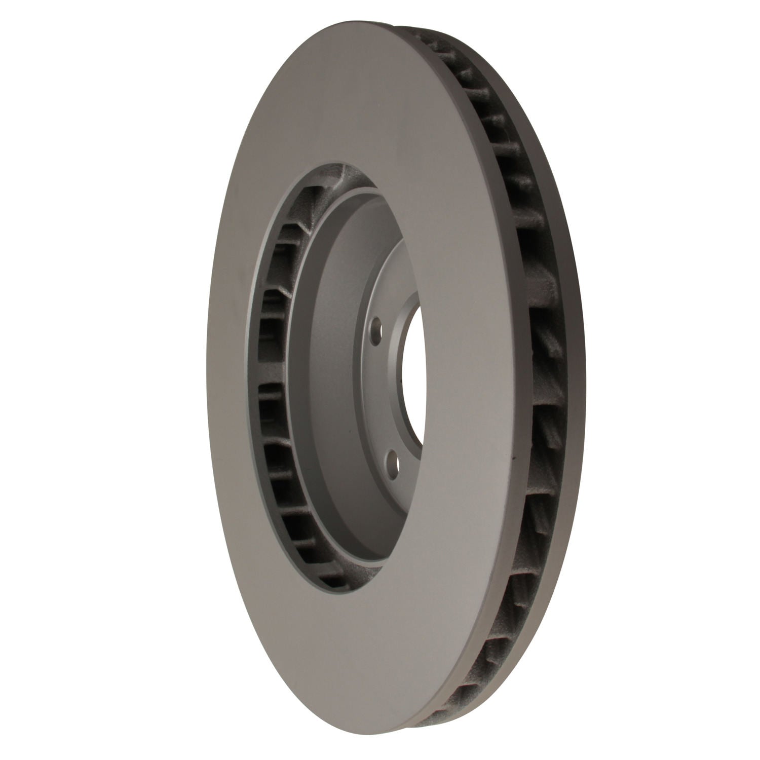 Pagid Disc Brake Rotor