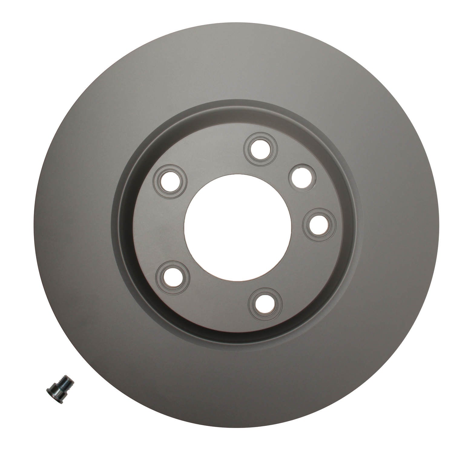 Pagid Disc Brake Rotor