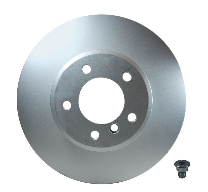 Pagid Disc Brake Rotor