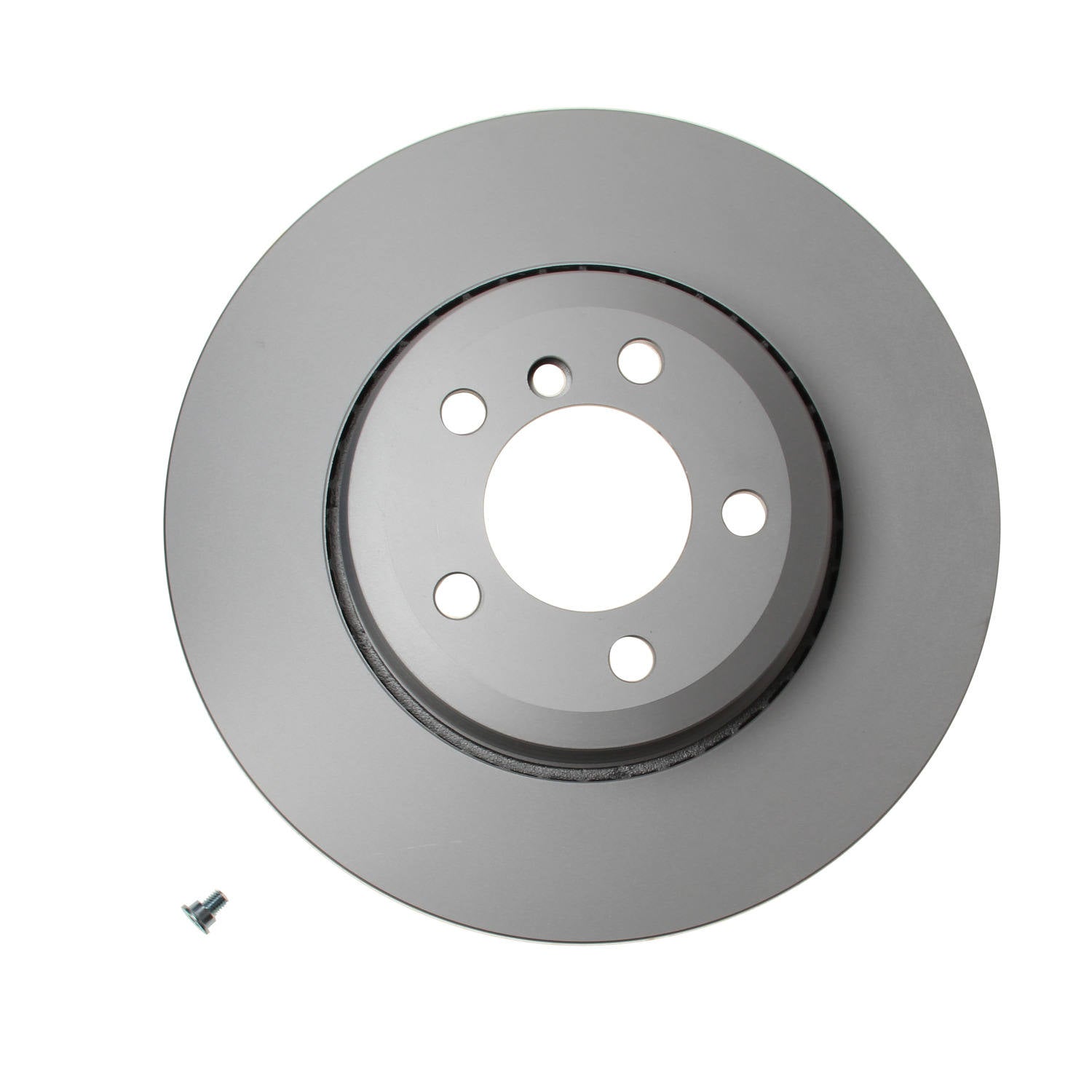 Pagid Disc Brake Rotor