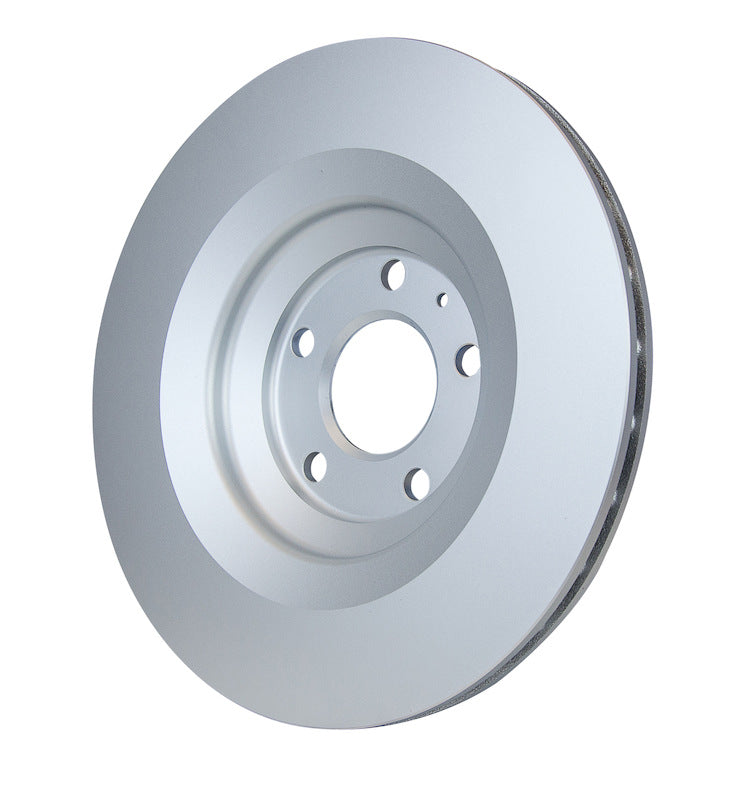 Pagid Disc Brake Rotor