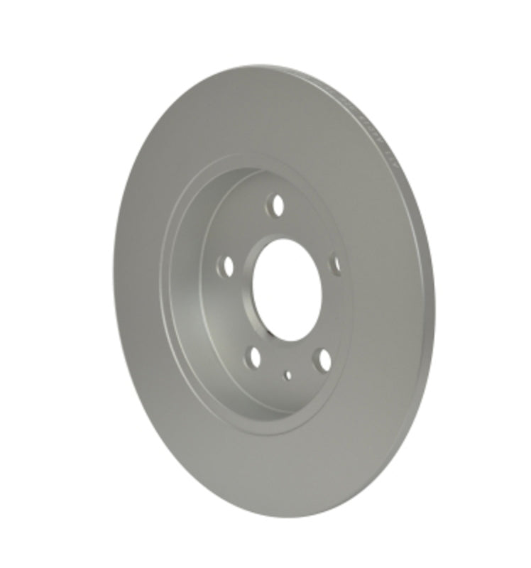 Pagid Disc Brake Rotor