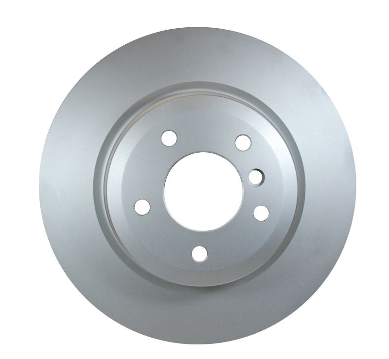 Pagid Disc Brake Rotor