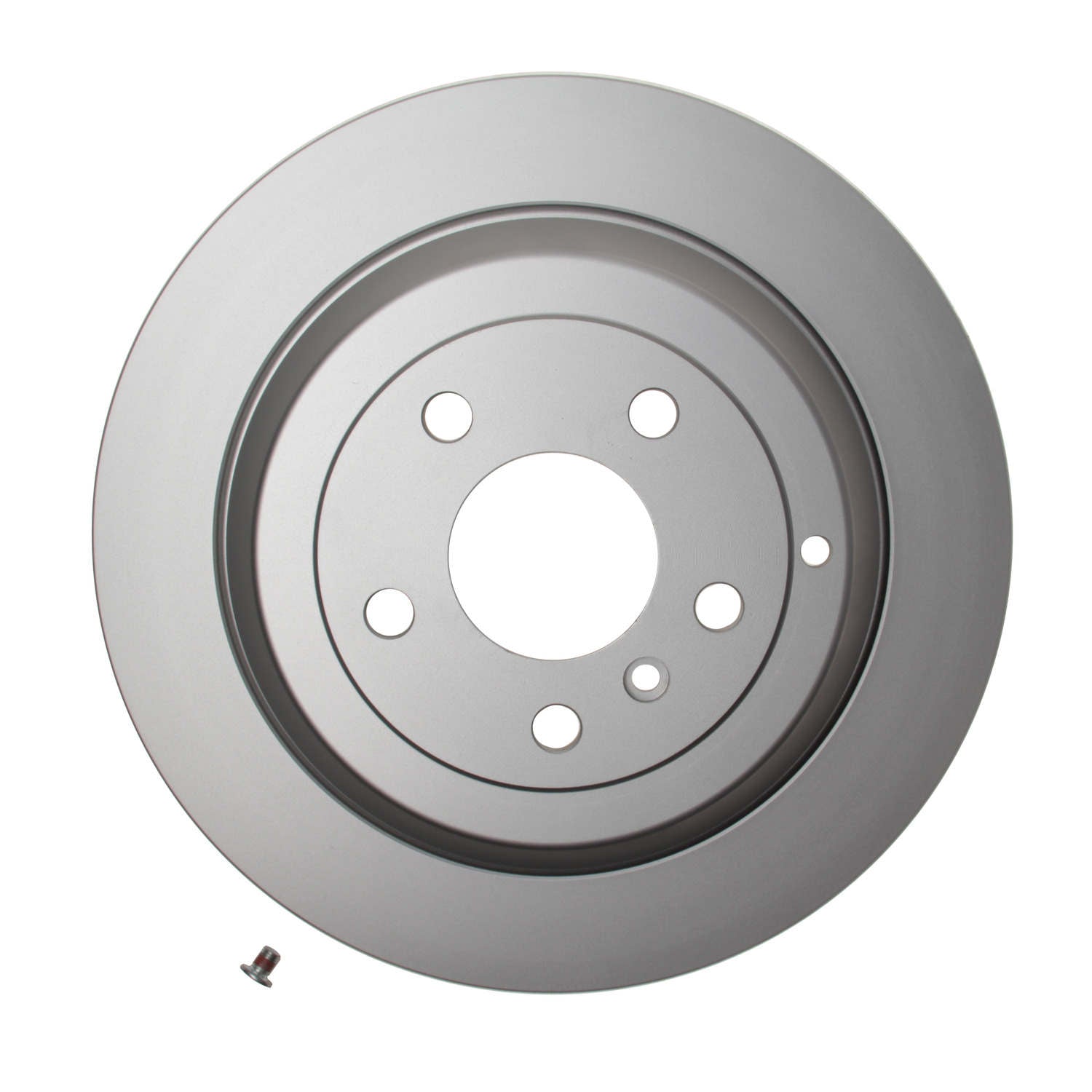 Pagid Disc Brake Rotor