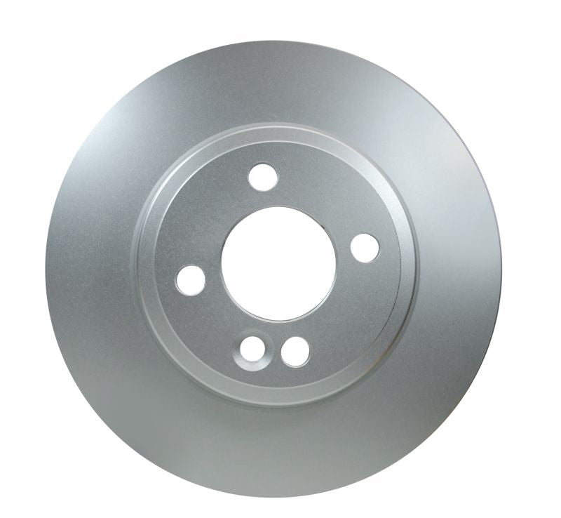 Pagid Disc Brake Rotor