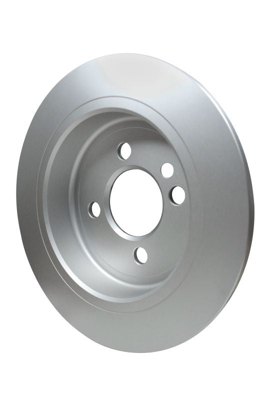 Pagid Disc Brake Rotor