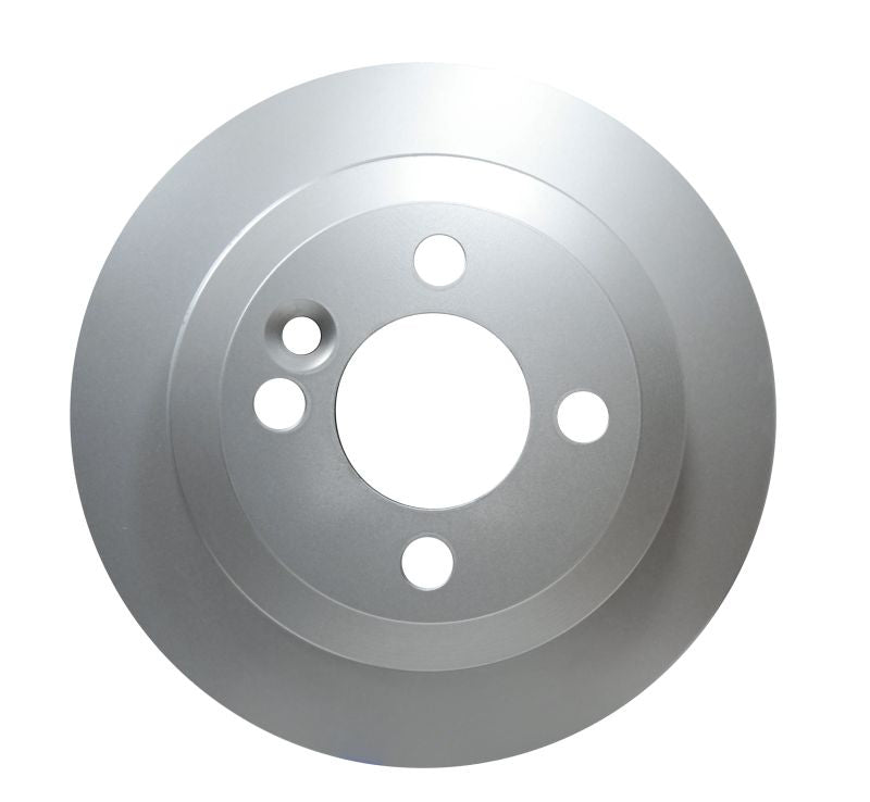 Pagid Disc Brake Rotor